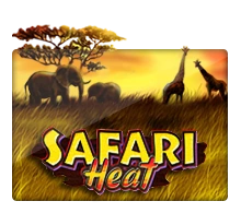 Safari Heat - STORYBET138