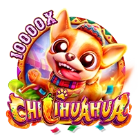 CHILIHUAHUA - STORYBET138