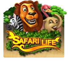 Safari Life - STORYBET138