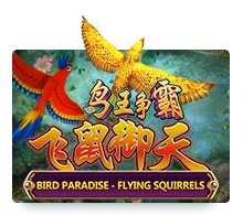 Bird Paradise - STORYBET138
