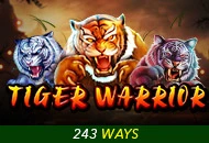 Tiger Warrior - STORYBET138