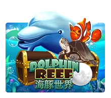 Dolphin Reef - STORYBET138