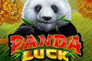 Panda Luck - STORYBET138