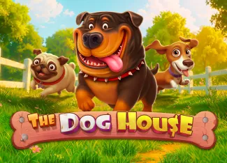 The Dog House - STORYBET138