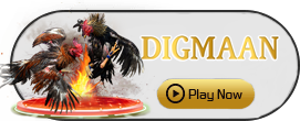 Digman - STORYBET138