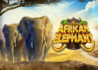 African Elephant - STORYBET138